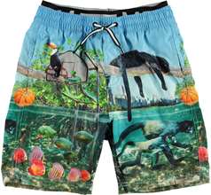 Neal Swimwear